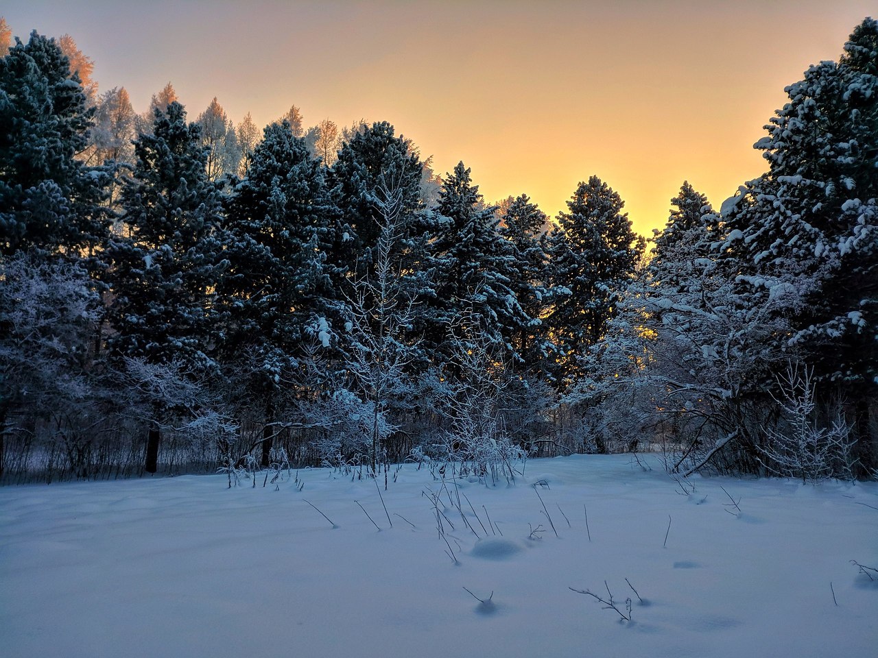 Конкурс фото зима