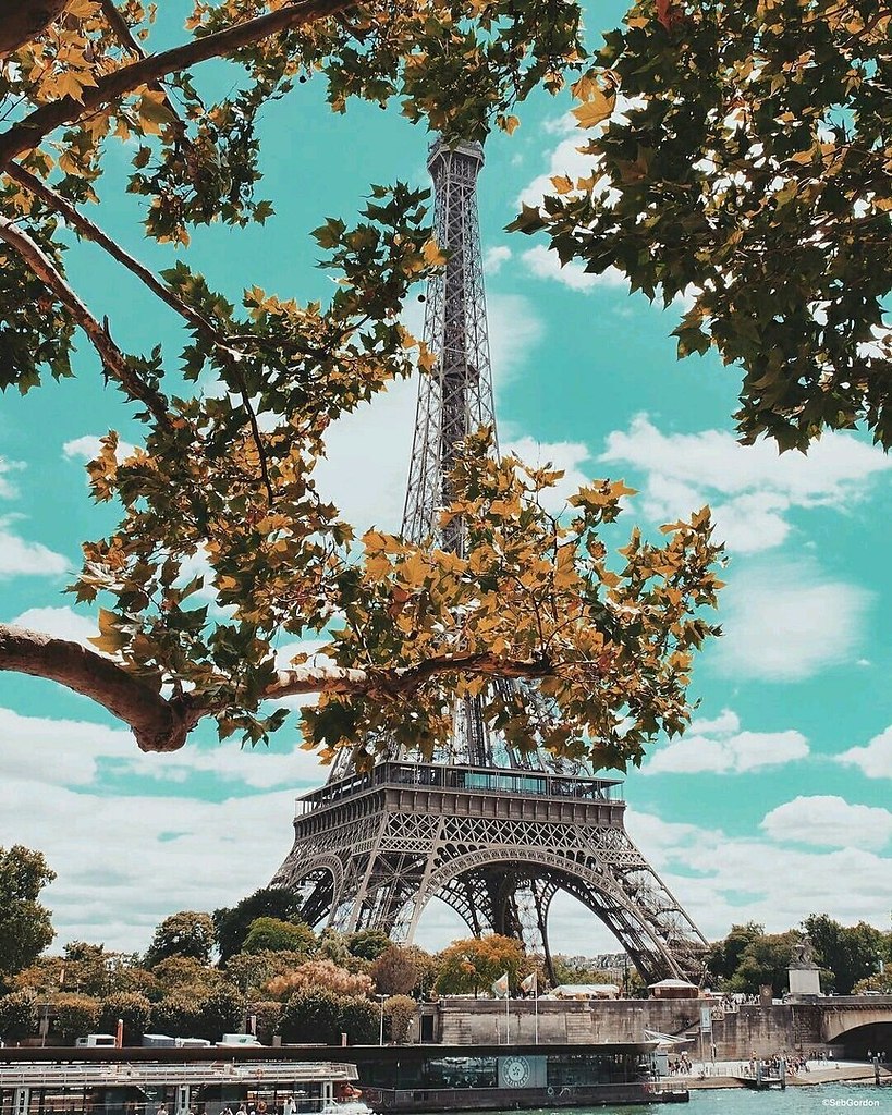 Семья в Париже башня осень
