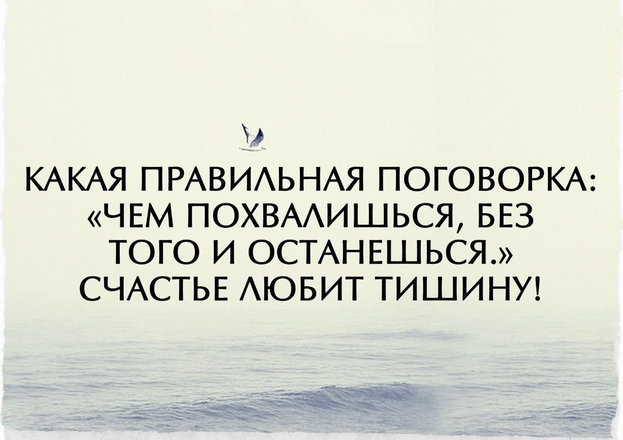 Счастье любит тишину. Счастье любит тишину стих. Нам постоянно говорят что счастье. Статус счастье любит тишину. Счастье любит тишину стих.
