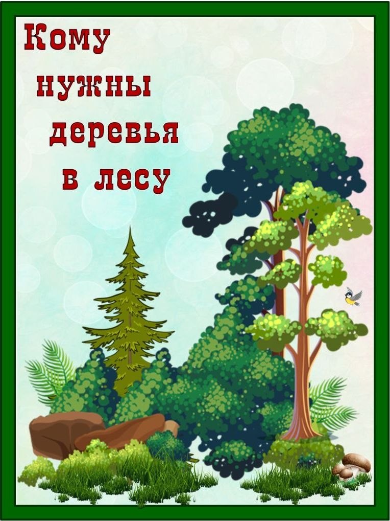 Лес деревья презентация для дошкольников