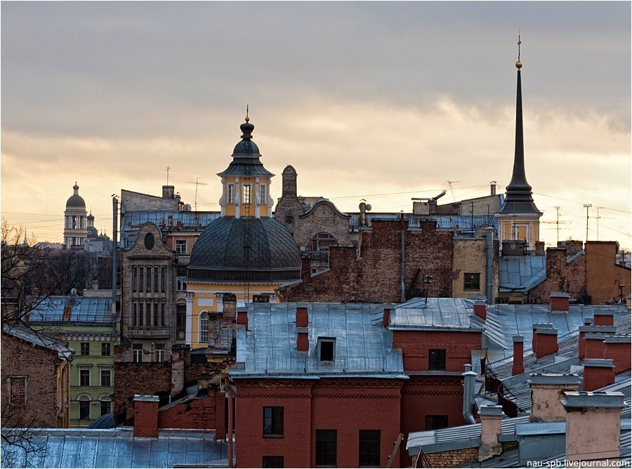 Крыши санкт петербурга зимой