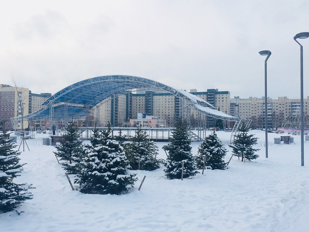 Округ озеро долгое санкт петербург. Парк озеро долгое Санкт-Петербург. Парк озеро долгое зимой. Озеро долгое парк сцена. Парк озеро долгое Санкт-Петербург зимой.