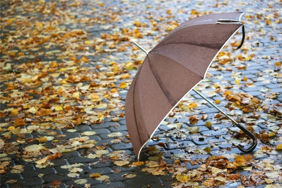 Зонт в дождь