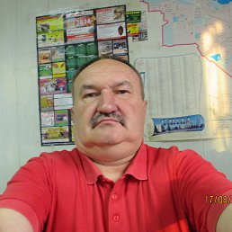 Анатолий, 62 года, Смела