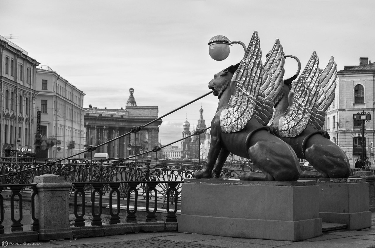 грифоны на банковском мосту в санкт петербурге