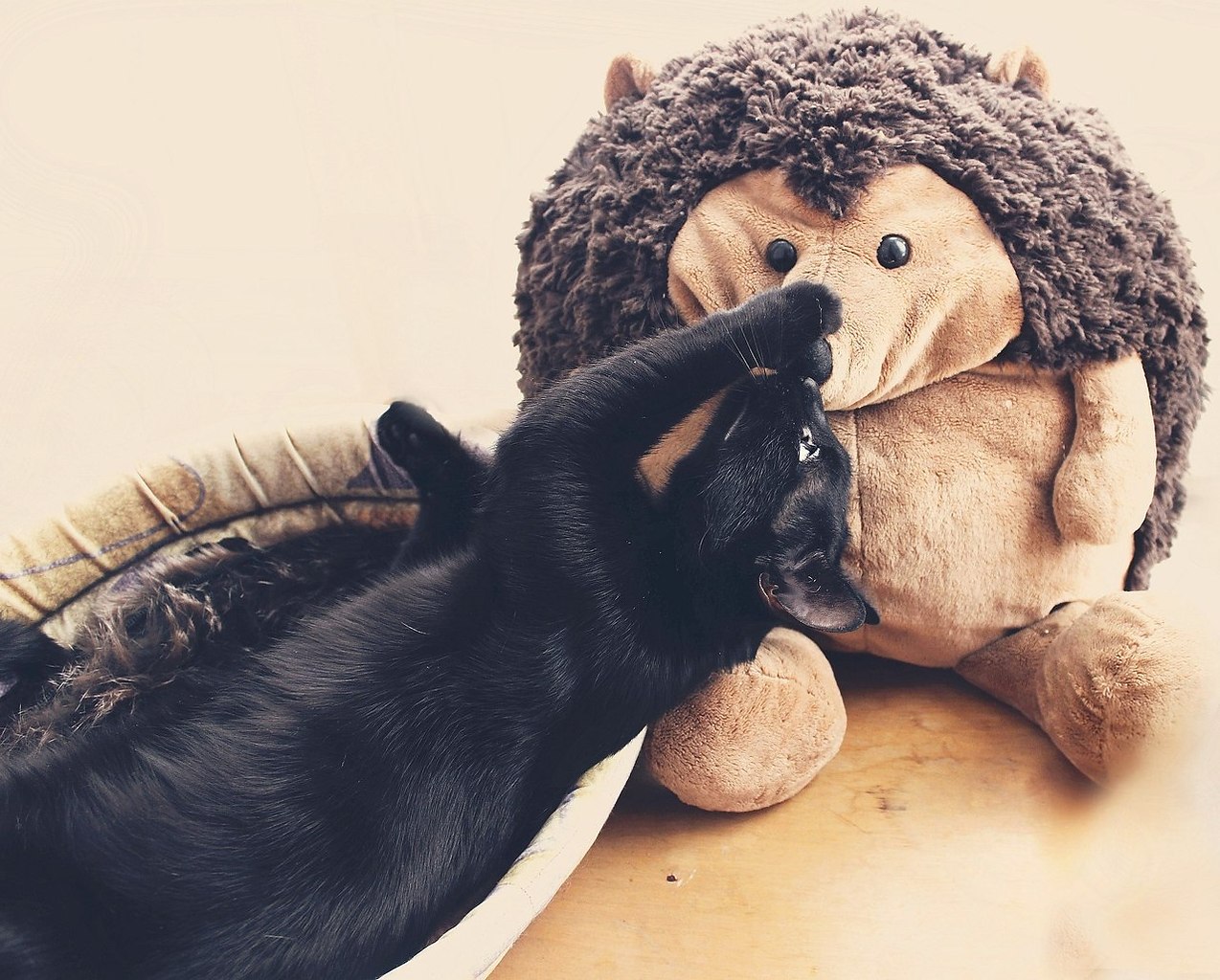 Кусь за попу картинки