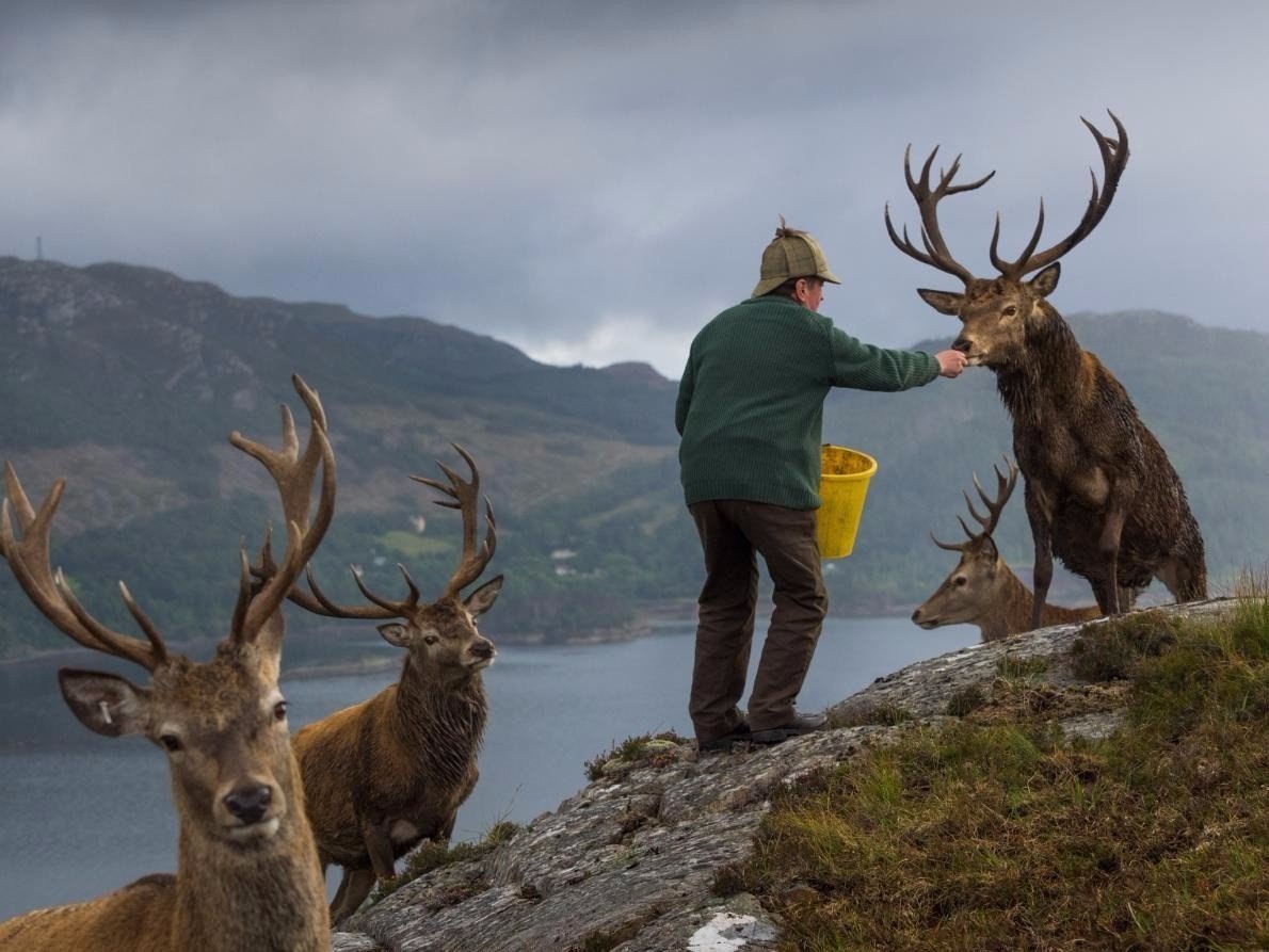 Картинки national geographic