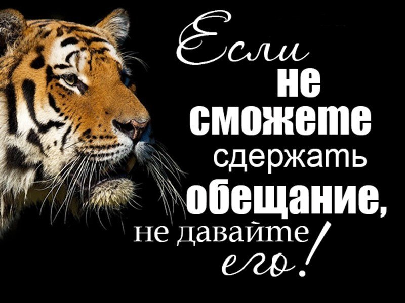 Прикольные картинки с обещаниями