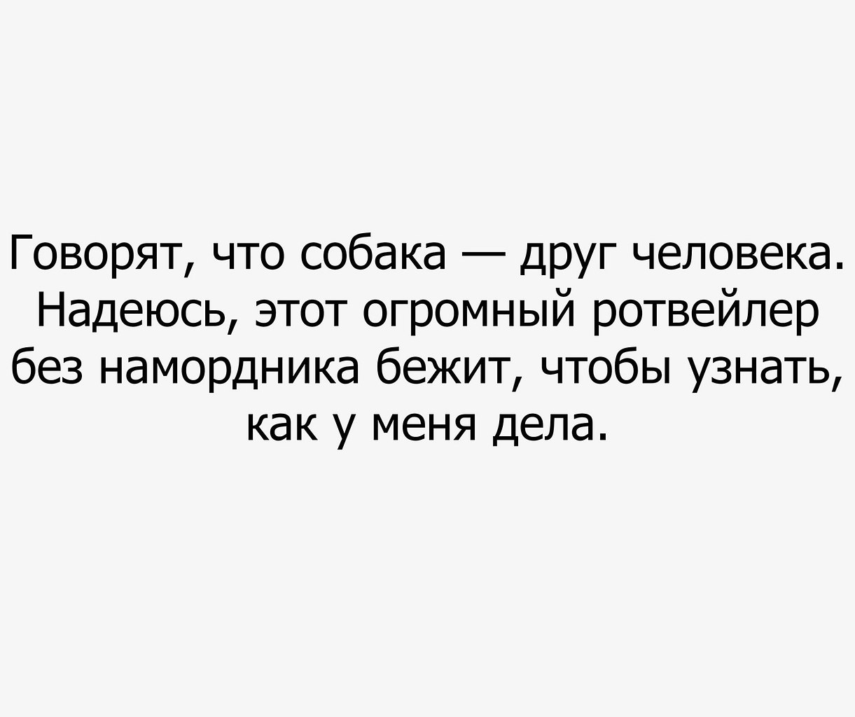 Эгоист, №1562546343 | Фотострана – cайт знакомств, развлечений и игр