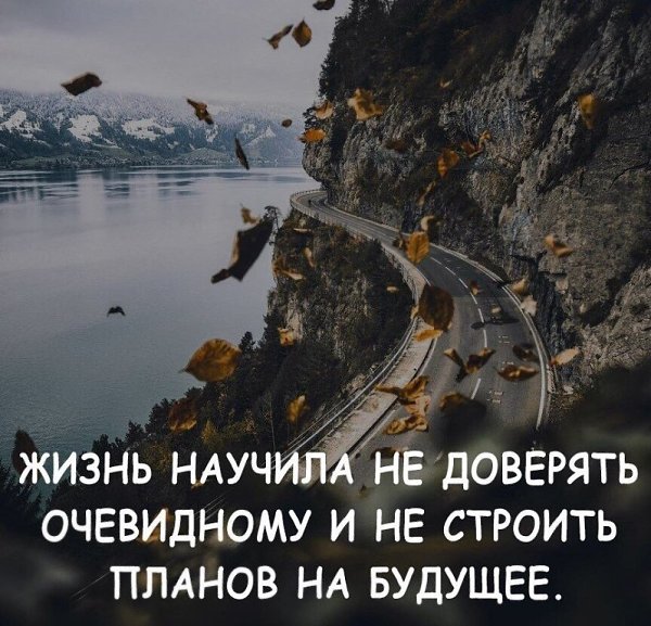 Планы на будущее цитаты