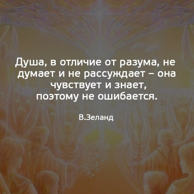 Отличающуюся душу. Статусы о разуме. Душа в отличие от разума не думает. Разум цитаты. Душа в отличие от разума.