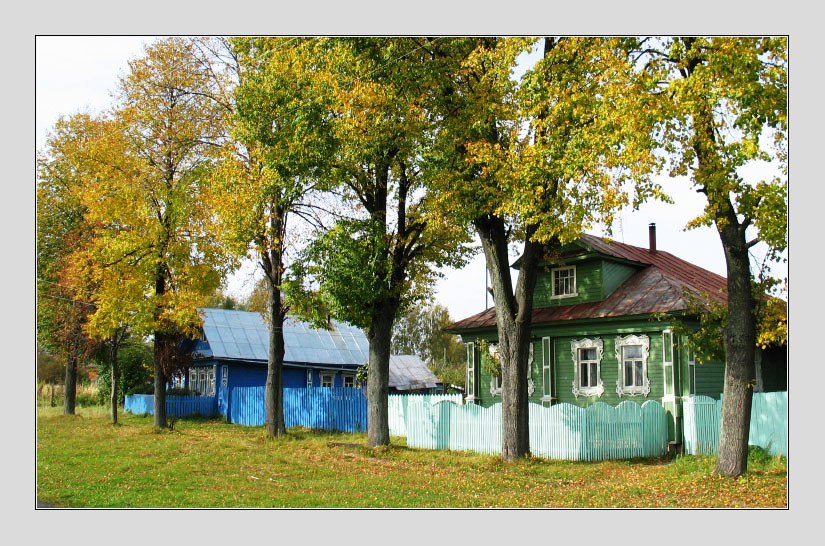 Жизнь в приволжской деревне. Тополь у дома. Тополь в деревне. Дом в тополях. Деревенские тополя.