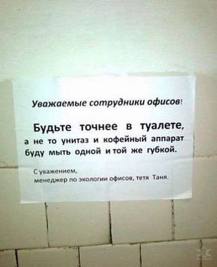 Объявление в туалете образец