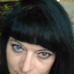 , 53 , 
