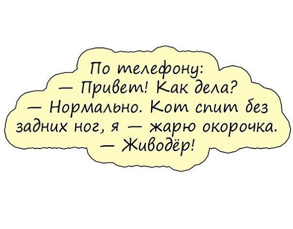 Дела нормально картинки прикольные смешные