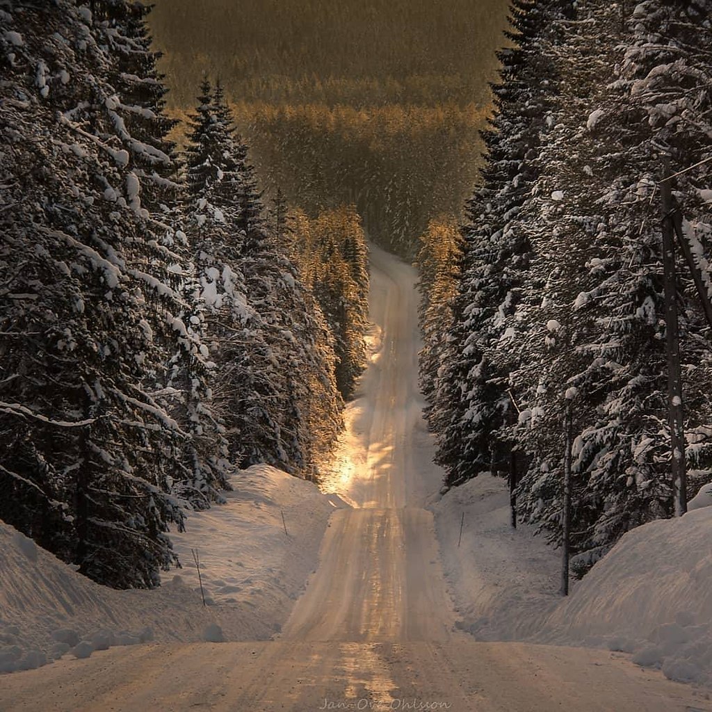 Дорога в сказку зима