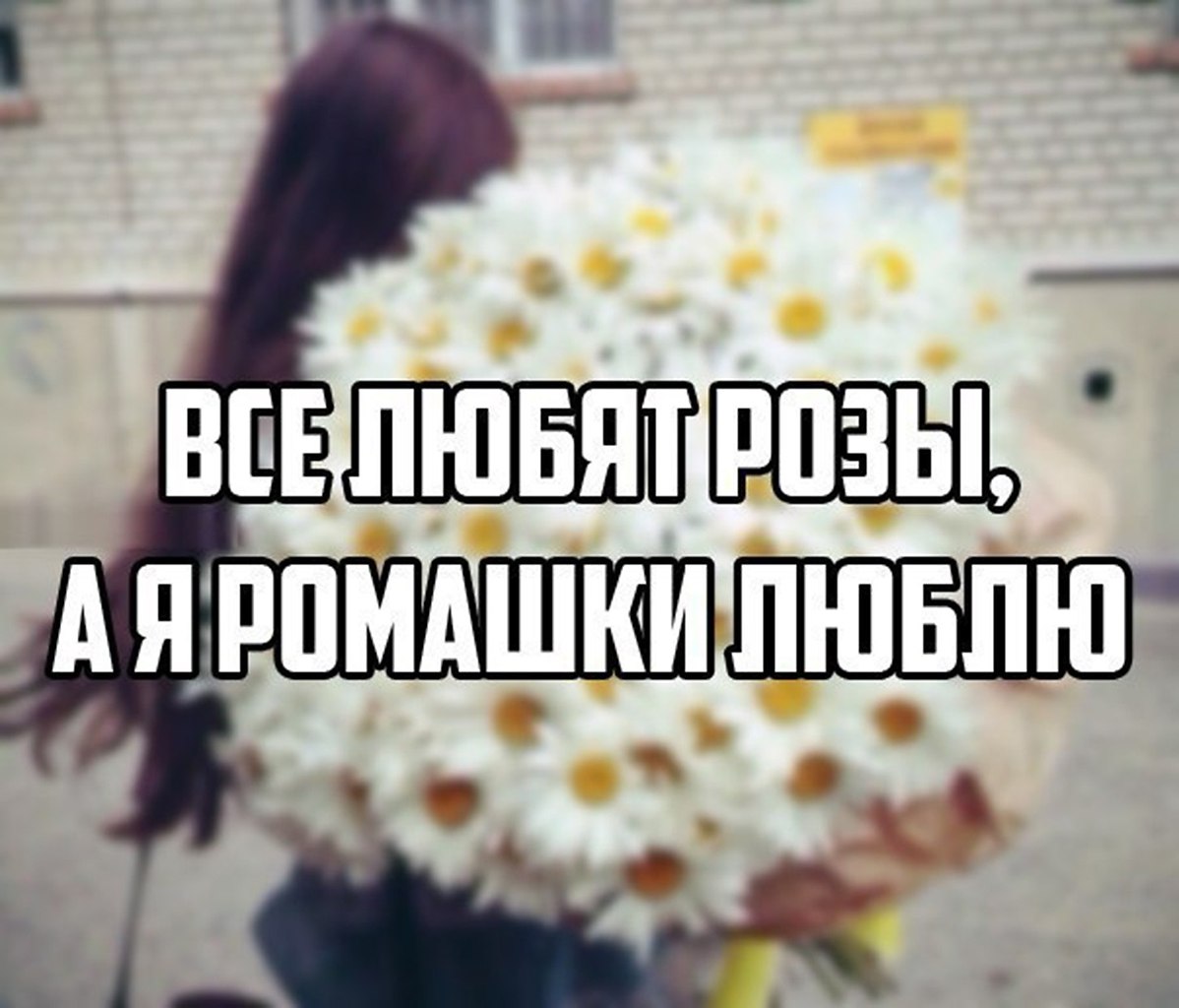 Говорят кто любит ромашки у того добрая душа картинки