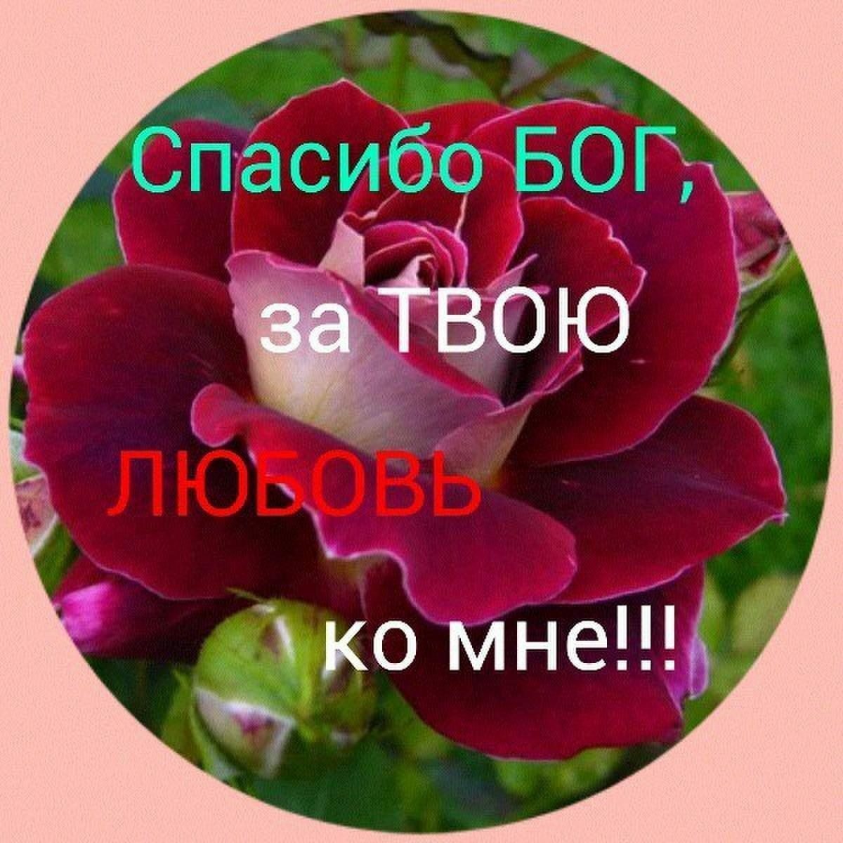 Спасибо бог. Благодарностью Господу открытки. Спасибо Богу. Открытки благодарю христианские. Открытка благодарю тебя Господь.