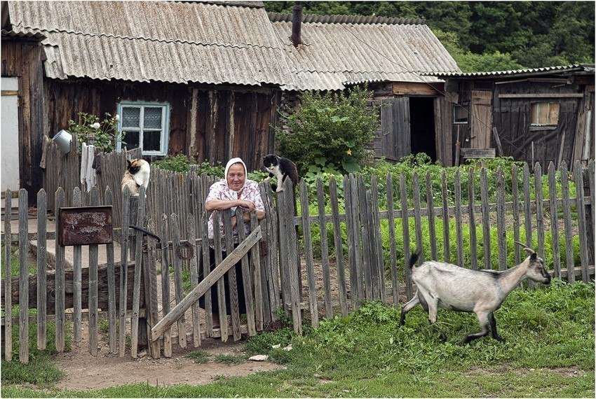 Проект жизнь в деревне