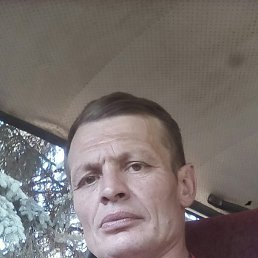 , 51 , 