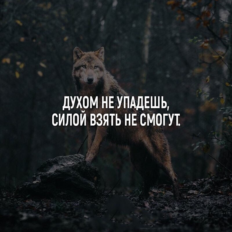 Сила духа картинки со смыслом