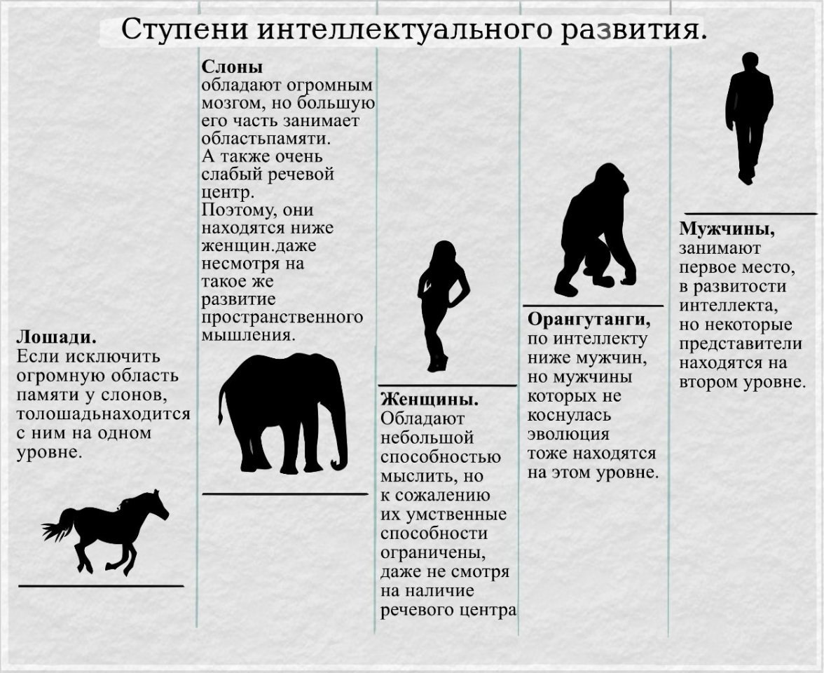 Интеллект животных таблица