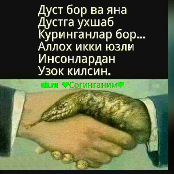 Дуст хакида картинка