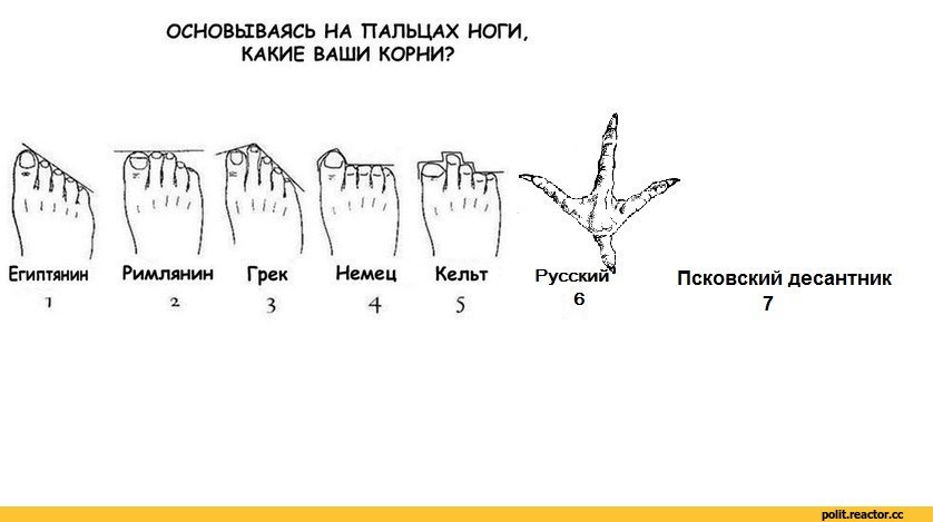 Пальцы на ногах название с фото на русском