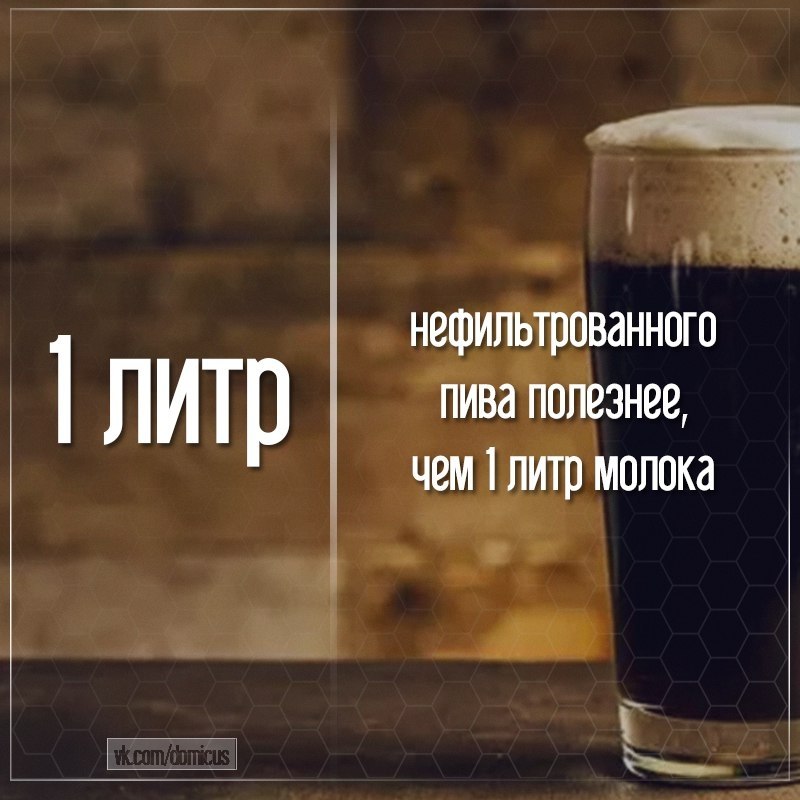 Пиво полезно и питательно фото в тбилиси