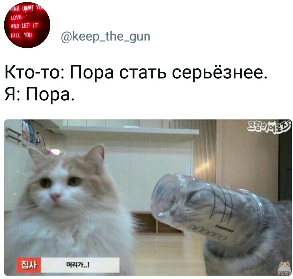 Кот с бокалом Мем