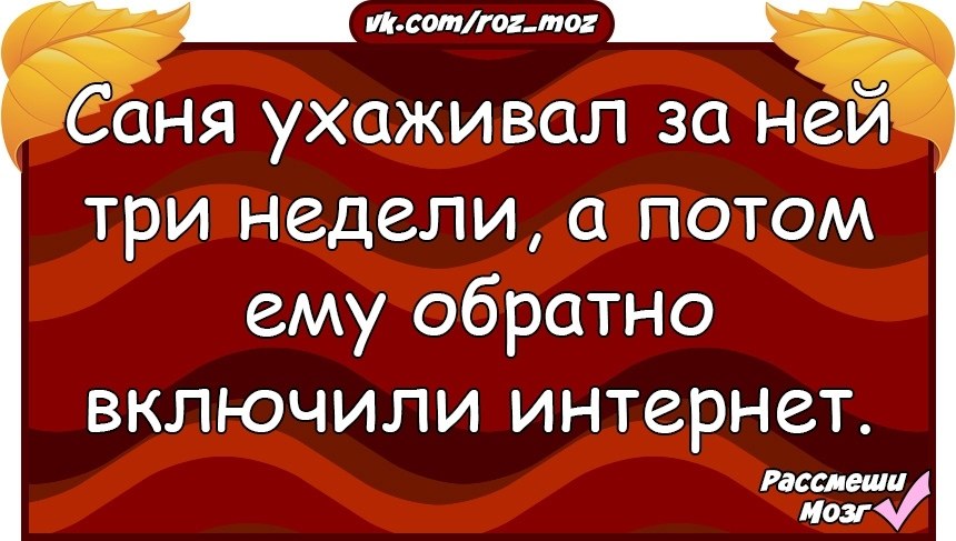 Завяли помидоры песня. Прошла любовь завяли помидоры картинки. Прошла любовь завяли помидоры ботинки жмут. Прошла любовь завяли помидоры. Прошла любовь.