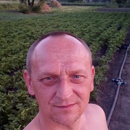 Юрий, 45 лет, Вознесенск