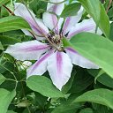 ���� �����, �������� - ��������� 24 ���� 2018