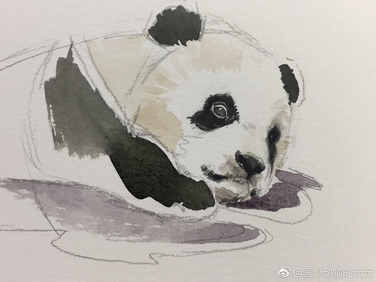 Урок рисования панды для детей