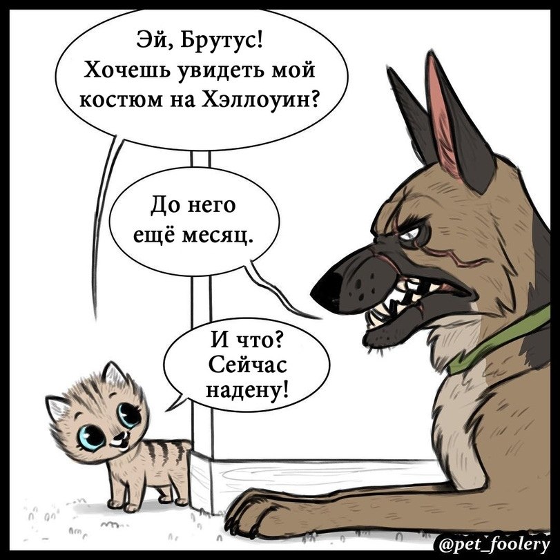 Картинки пикси и брутто
