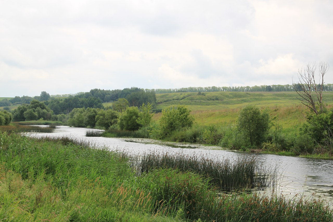 Михайлово река Проня