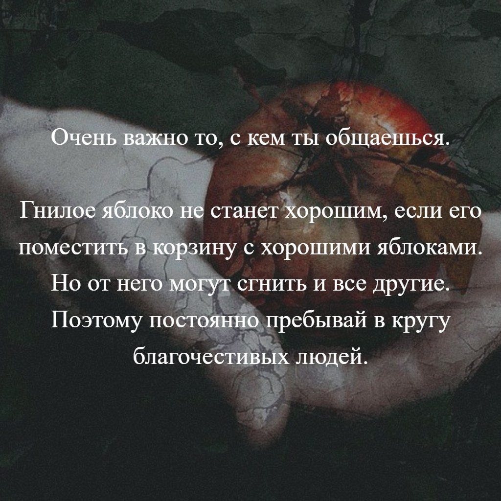 Гнилой человек. Гнилое яблоко не станет хорошим если его. Если гнилое яблоко поместить в корзину с хорошими. Гнилое яблоко цитата. Афоризм про гнилое яблоко.