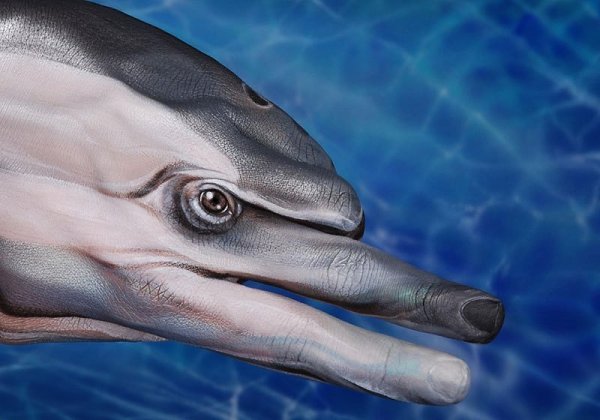 Рисунки на руках Guido Daniele. - 5