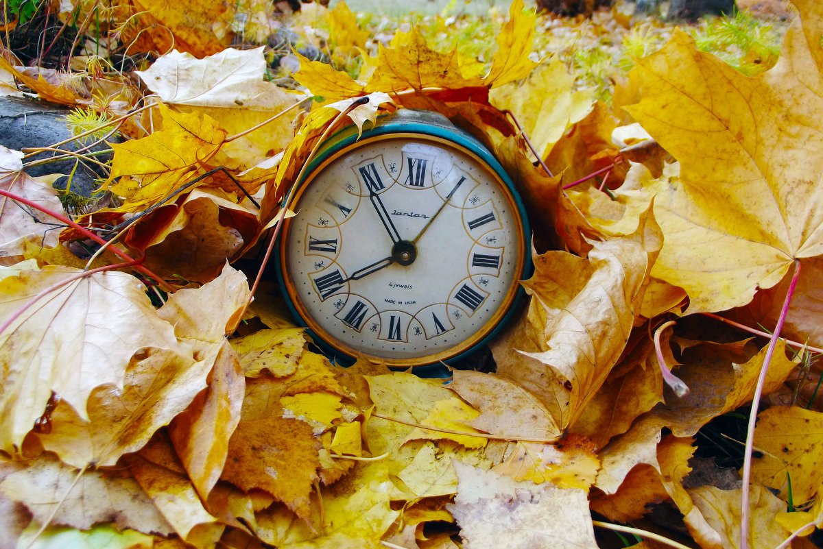 Красивая осень время. Осенние часы. Осень школа. Осенний день. Часы в осенних листьях.