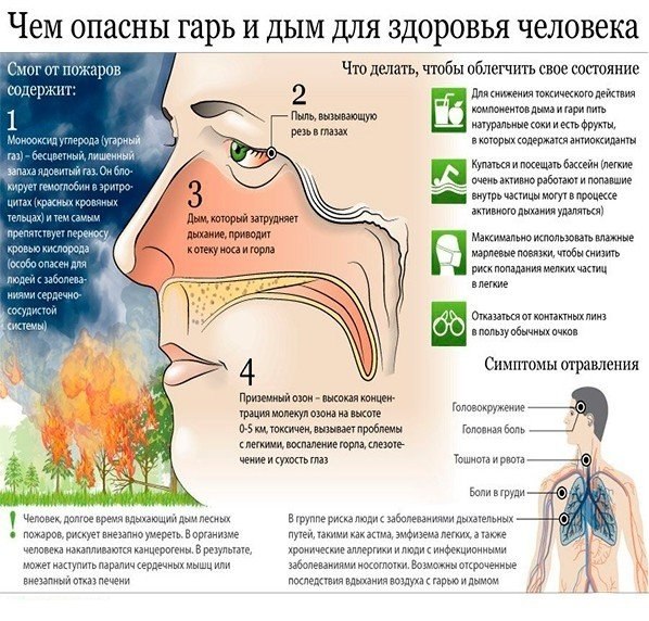 Опасен ли для человека. Озон ядовит для человека. Токсичность озона для человека. Озон вреден для здоровья человека. Озон опасен.