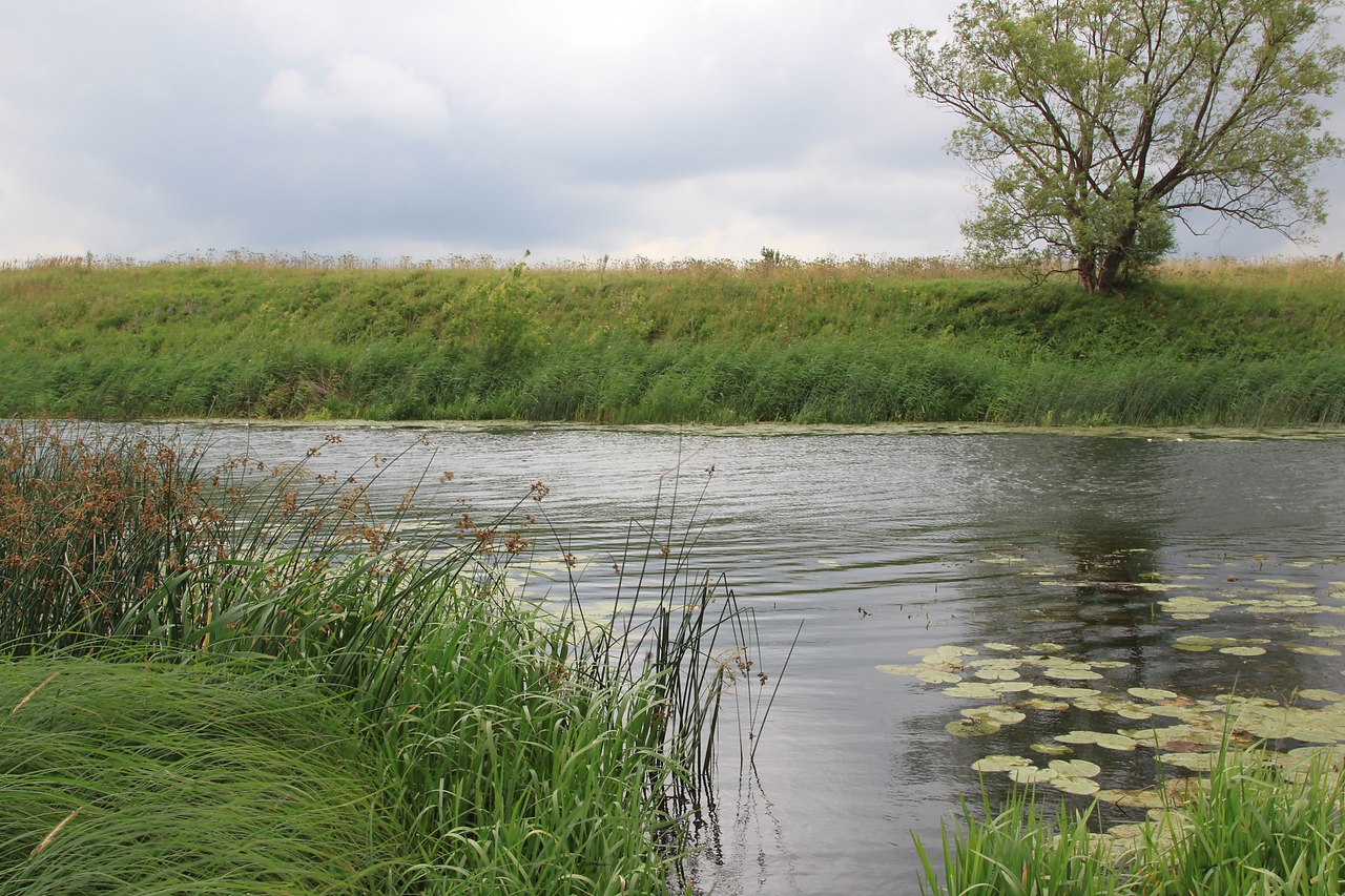 река проня рязанской области