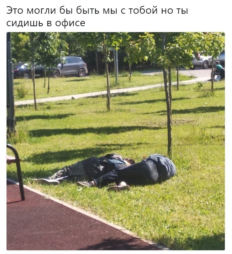 Мем это могли быть мы но. Это могли быть мы с тобой бомжи. это могли быть мы прикол. это могли быть мы мем. это могли быть мы с тобой алкаши.