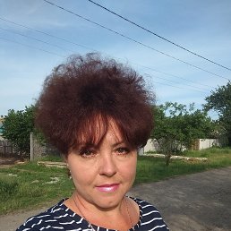 , 56 , 