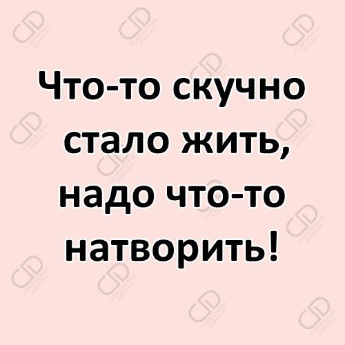 Картинки что то скучно стало жить надо что то натворить