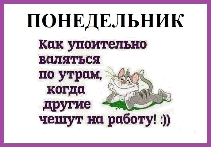 Как упоительно валяться по утрам когда другие чешут на работу картинки прикольные