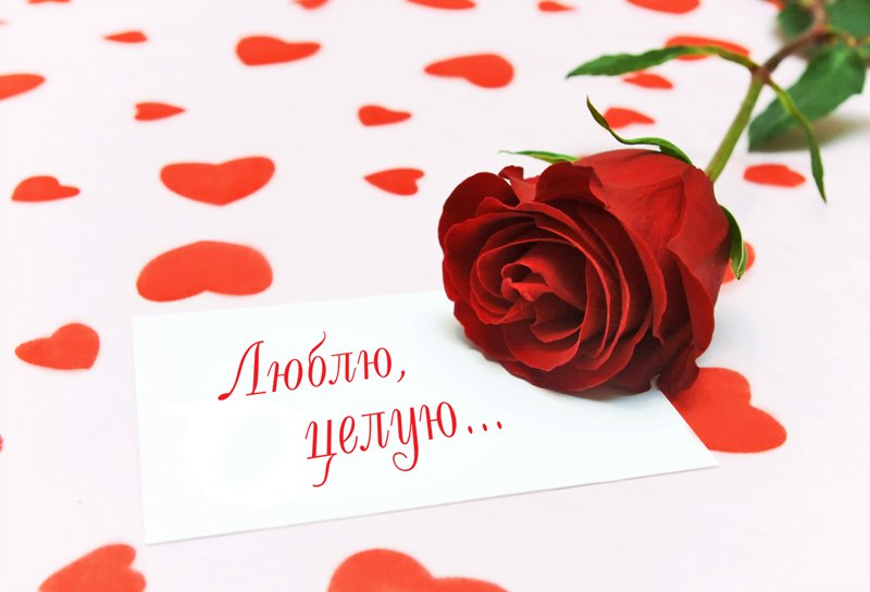 Кохаю открытки, лет днем