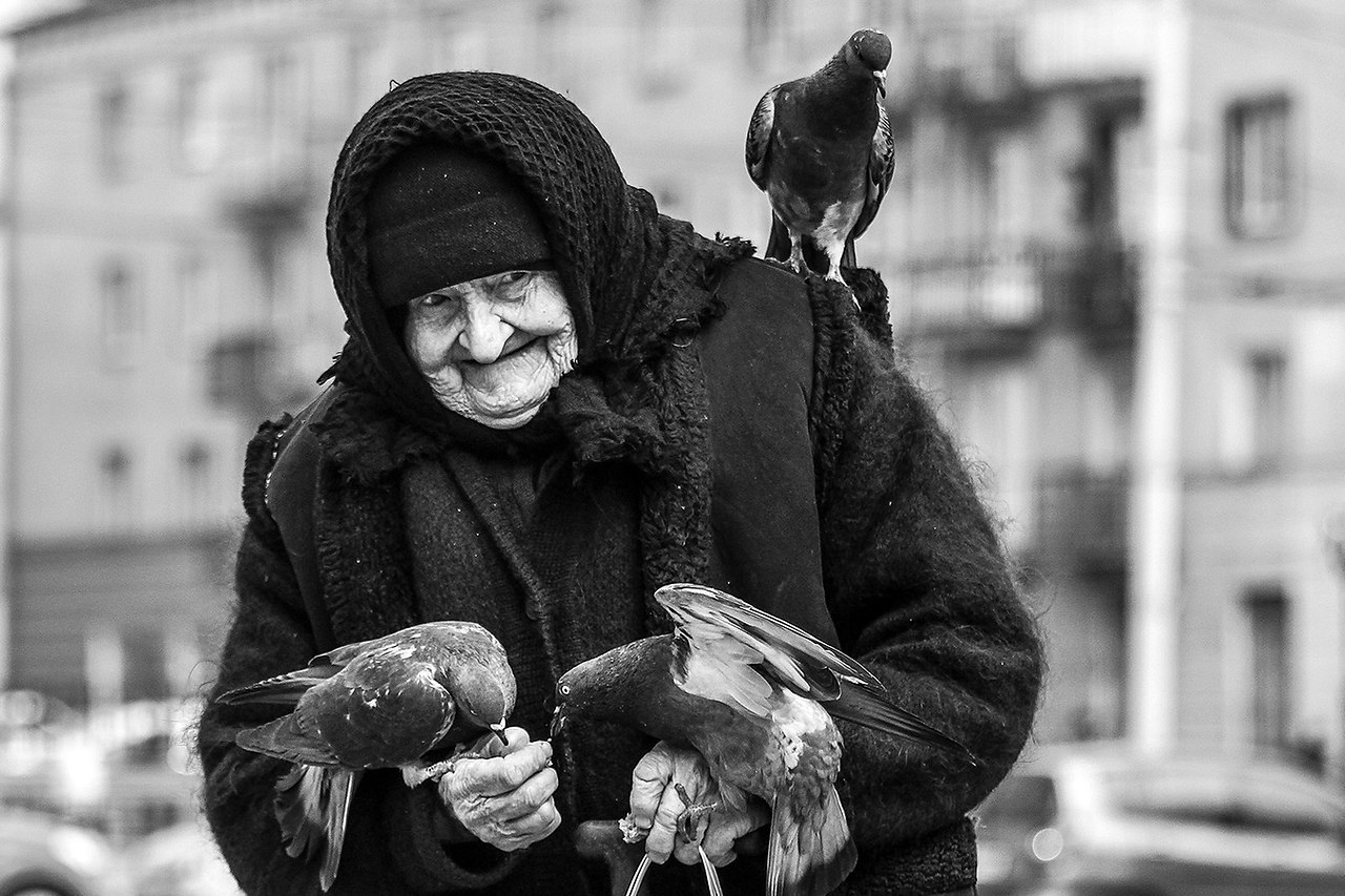 Бабушка и голуби