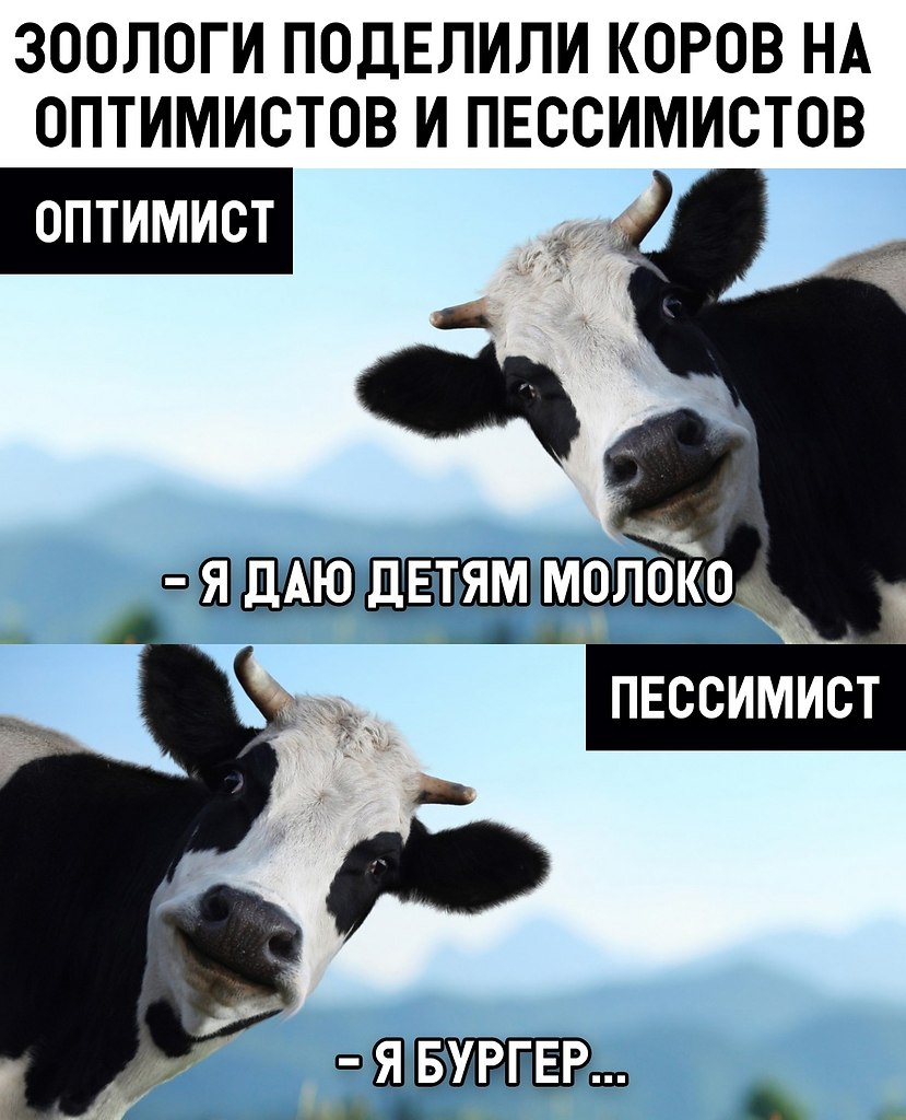 Картинка оптимист пессимист