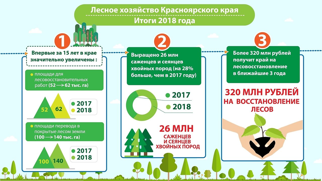 Как получить лес. Куда обращаться на получение леса. Площадь лесного фонда Красноярского края от площади лесов России. Как получить бесплатный лес от государства в Красноярском крае. Красноярск форум лесного хозяйства.