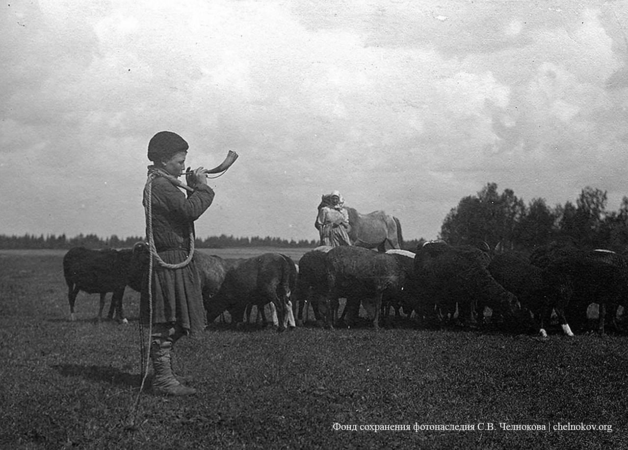 Россия, 1900-е годы